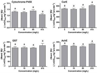 The Mechanism by Which Dodecyl Dimethyl Benzyl Ammonium Chloride Increased the Toxicity of Chlorpyrifos to Spodoptera exigua